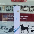 필종합동물병원 이미지