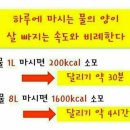 점핑점핑24FIT
