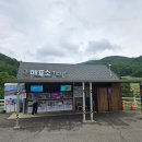 농은목장 | 평창 여행 필수 코스 대관령 하늘목장 방문 후기