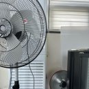 멍멍아학교가자 (대곡점) 이미지