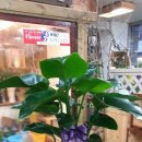 한솔종합주방 이미지