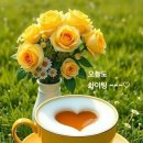 파워큐셀