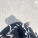 팔성 | 3rd 팔성 라이브 ~ 여름으로 ~ 후기 기록 ...-