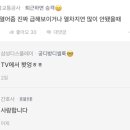 타라고 이미지