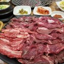 화끈한갈매기 이미지