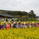 화순 고인돌 축제장에서... 이미지