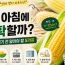 웰디렉터