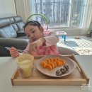 안성 1 안성1구경로당 | 아기주먹밥 만들기, 위드잇 마미카세 솔직후기 ( 아기아침메뉴 추천 )