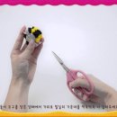 돌말 이미지