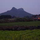 산방산탄산온천게스트하우스