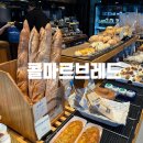 대전 빵집 추천 콜마르브레드본점