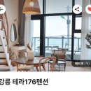 테라176 이미지