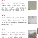 듀오침구박홍근홈패션 | 코스트코 냉감패드 비교 가격ㅣ알러텍트, 박홍근 ft.공정위 품질 비교