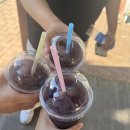 곳으로 떠나보기~(영종도 레일바이크/마시안해변/휴 로프트 호텔/다올조개구이/바위섬조개구이/카페 뮈...