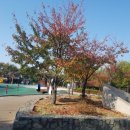 수봉공원 (관리실) 이미지