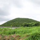 번영로달산교차로 2 | [우진제비오름] 소가 누워있는 형상과 제비가 날아가는 형상처럼 보인다는 오름