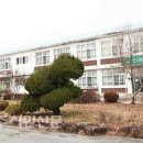 창락1리 Daum카페