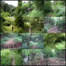 장성새재 옛길-편백나무숲-입암산성 남문-남창계곡-장성호(전남 장성군 북하면 신성리)