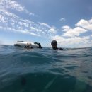 남원읍-79 이미지