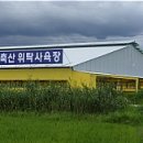 단풍미인한우 영농조합법인 이미지