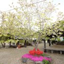 숲속의집펜션민박 이미지