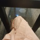세종 종합건강검진 위대한내과 세종시 여성 초음파 내시경 강추