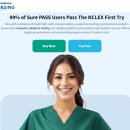 아처(Archer) | NCLEX 엔클렉스 공부법 유월드 나스렉스 아처 비교