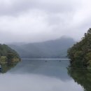 장성호수변길 이미지