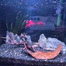 굿모닝JS의원 이미지