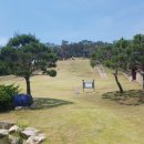 수원-1407 이미지