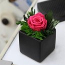 더봄 쇼핑하우