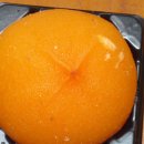 홍삼전시판매장