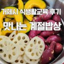 (성인) 건강하고 맛있는 요리 | ［거제시］맛나는 계절밥상 성인원데이클래스 후기