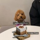 댕댕회관 이미지