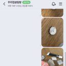 우리집살림왕