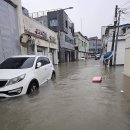 진도농협 주유소 이미지