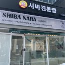 시바나라 이미지