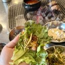 대전 : 숯불구이,탄방동_삼백직화구이집 [숙성오겹살, 통갈매기살, 숙성항정살, 차돌청국장]