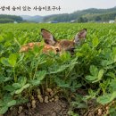 1226회 全 신서 시각화~^^ 이미지