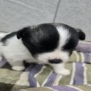 신림카정비공업사 이미지