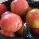 용포 농장2 이미지