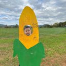 미로농장 이미지