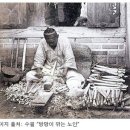 수필 Daum카페