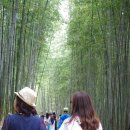죽관메원 | 2011년 8월 30일 오후 10시 36분에 저장한 글입니다.