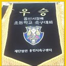 2009 제2회 용인시장배 전국 초등학교 축구대회 우승(2009/12/22~12/30) 이미지