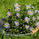 유통행정사 이미지