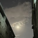 72번가에비뉴커피 | 11월도 안녕