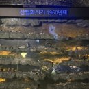 광명동굴 | 광명동굴 후기