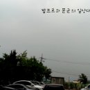 신나는머리나라 이미지