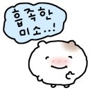 치프스포츠 트레이닝센터 이미지